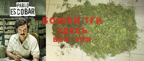 твердый Няндома