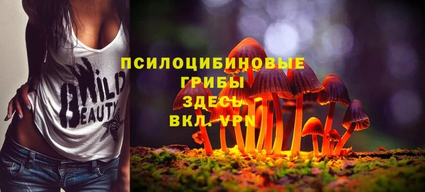наркотики Новозыбков