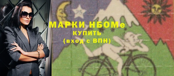 твердый Няндома
