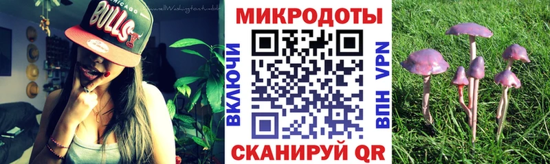 Галлюциногенные грибы GOLDEN TEACHER  Купить где  Суджа 